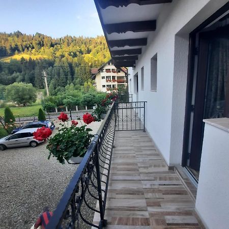 Casa Dana Olteanu Hotel Моечу де Жос Екстериор снимка