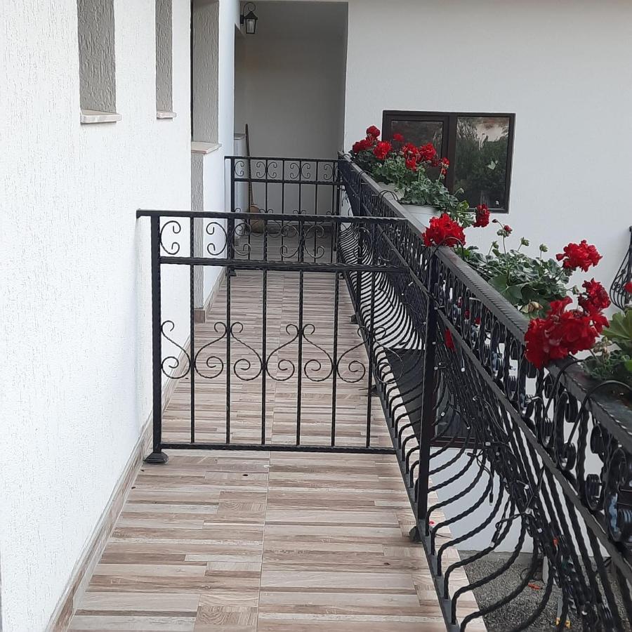 Casa Dana Olteanu Hotel Моечу де Жос Екстериор снимка