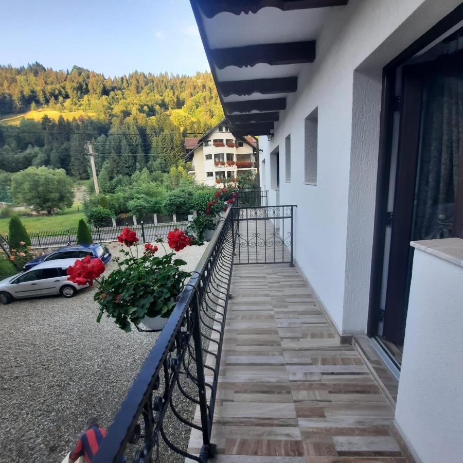 Casa Dana Olteanu Hotel Моечу де Жос Екстериор снимка