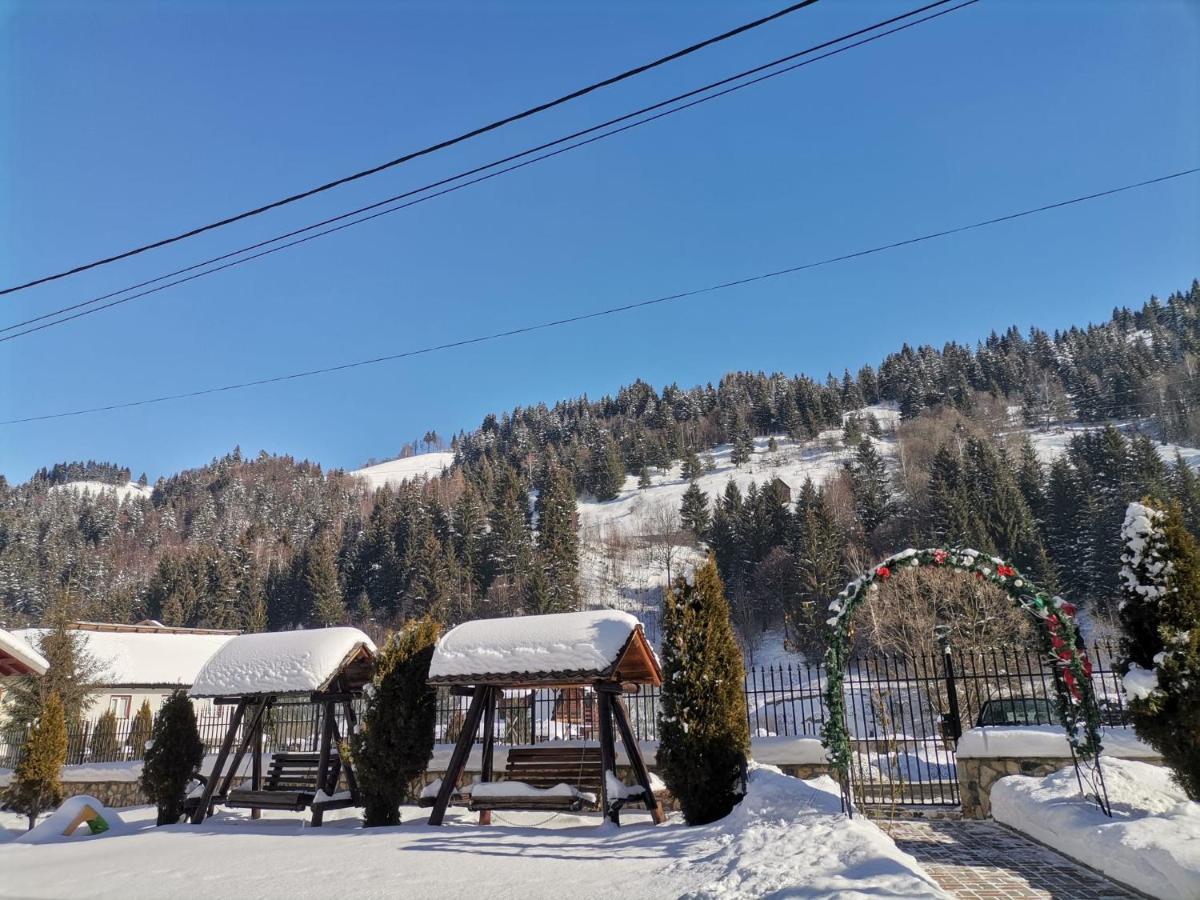Casa Dana Olteanu Hotel Моечу де Жос Екстериор снимка
