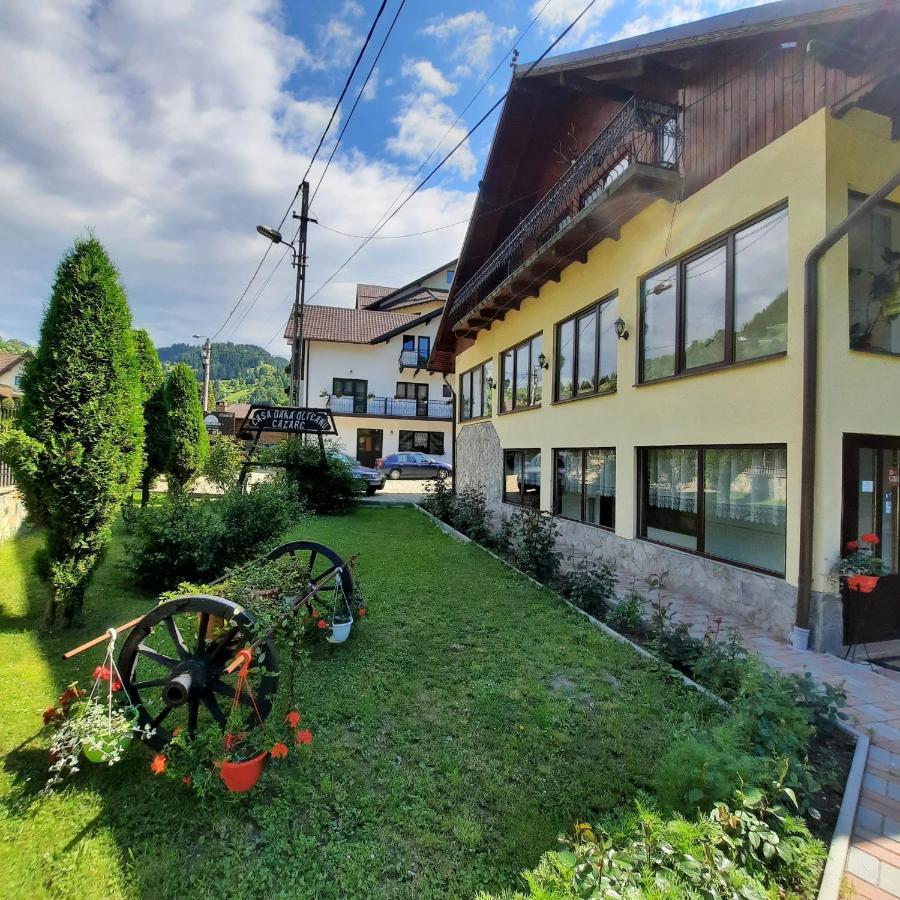 Casa Dana Olteanu Hotel Моечу де Жос Екстериор снимка