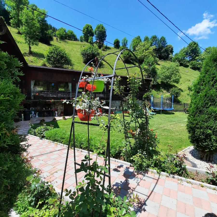 Casa Dana Olteanu Hotel Моечу де Жос Екстериор снимка